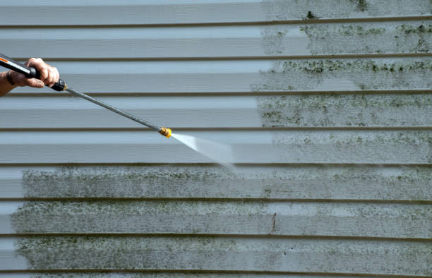 Best Home Mold Removal  in Hudson, TX