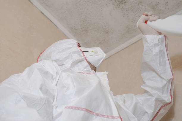 Best Home Mold Removal  in Hudson, TX